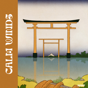 国产耄耋老太性HD大全
