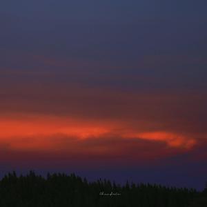 国产耄耋老太性HD大全
