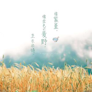 国产耄耋老太性HD大全
